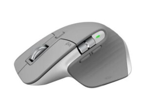 MOUSE